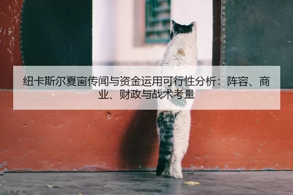 纽卡斯尔夏窗传闻与资金运用可行性分析：阵容、商业、财政与战术考量
