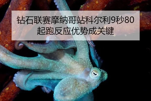 zuan-shi-lian-sai-mo-na-ge-zhan-ke-er-li-miao-qi-pao-fan-ying-you-shi-cheng-guan-jian-2-372.jpg
